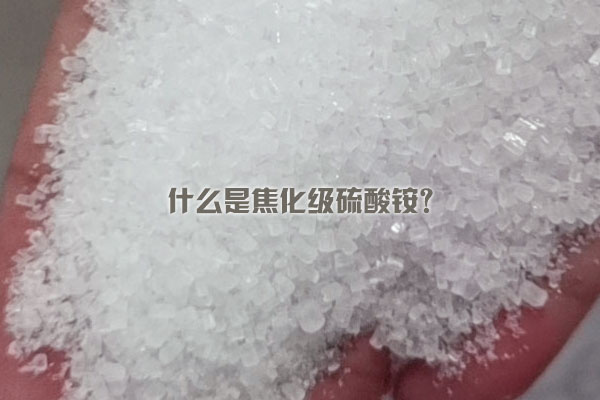 什么是焦化級硫酸銨？