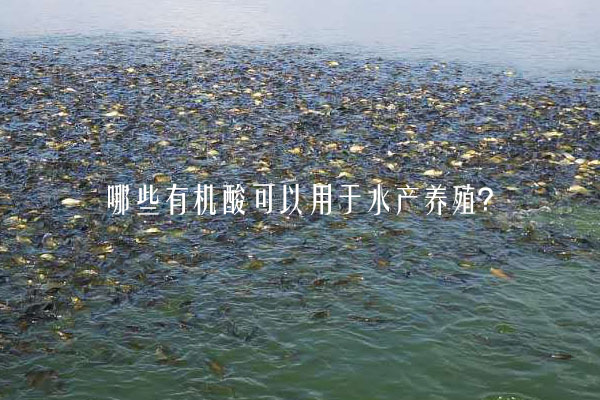 哪些有機(jī)酸可以用于水產(chǎn)養(yǎng)殖？
