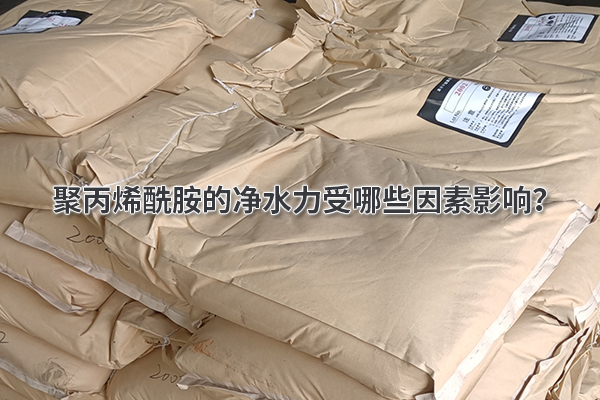 聚丙烯酰胺的凈水力受哪些因素影響？