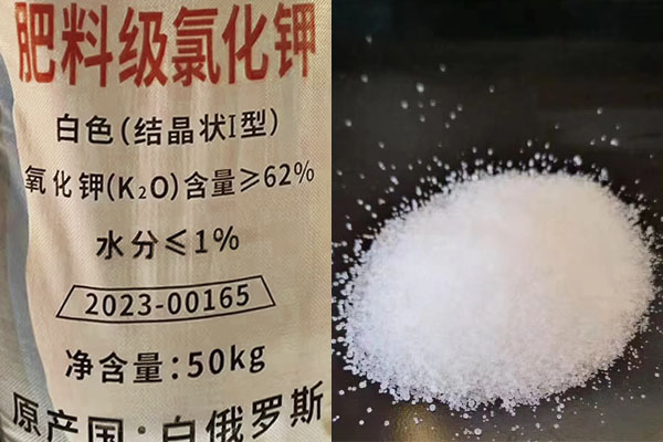 肥料級氯化鉀如何施用？
