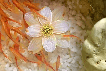 樹(shù)脂畫(huà)，滲透劑