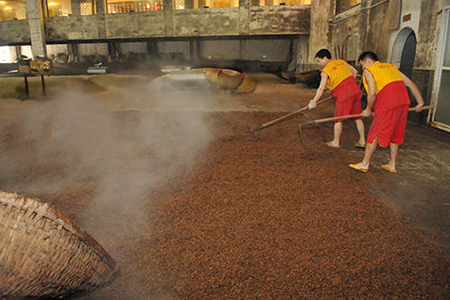 酒曲發(fā)酵 酒曲發(fā)酵