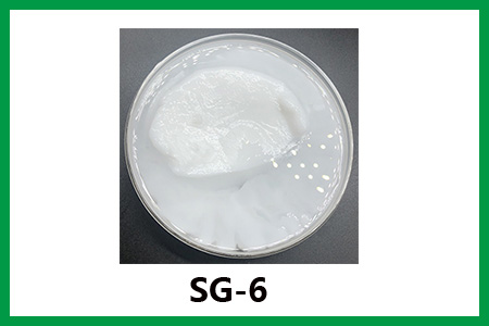 SG-6 SG-6